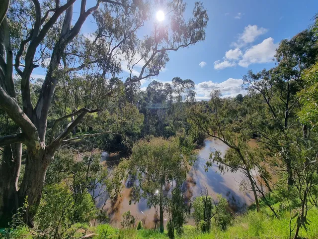 Bellbird Picnic Area