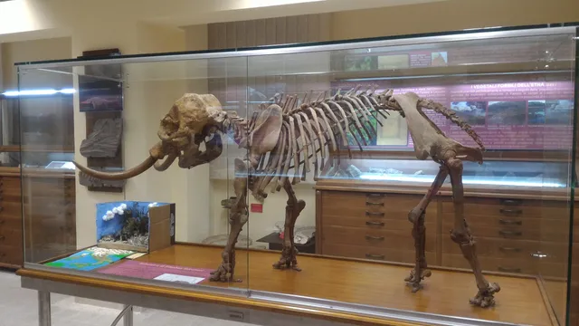 Museo di Scienze della Terra