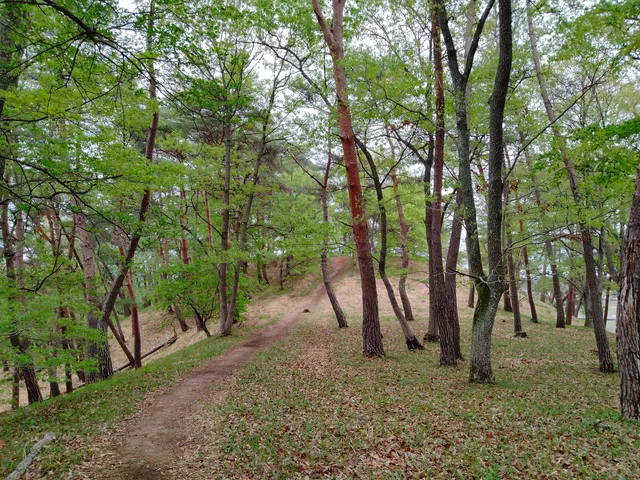 Tsukuriyama Ancient Tomb
