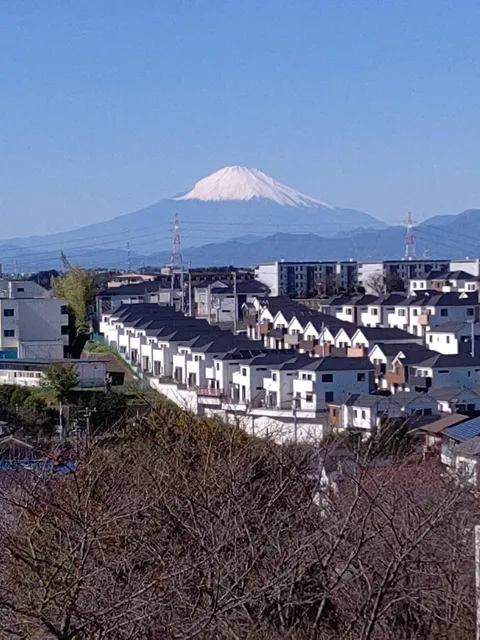 Serigaya Itchome Park