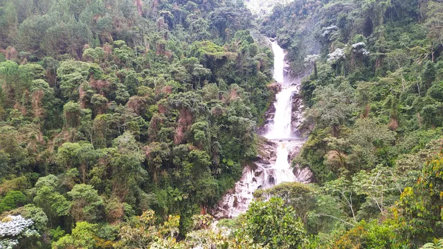 Corregimiento de Taparto