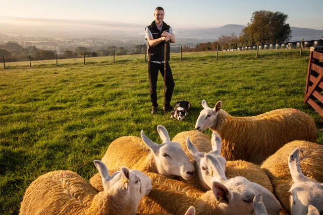 Glenshane Country Farm