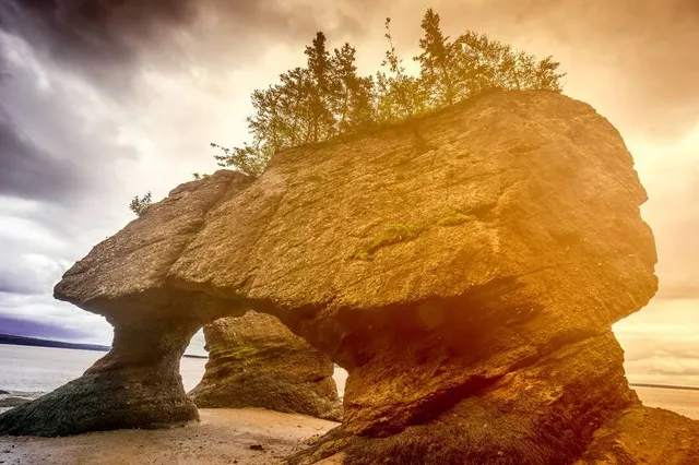 Parque Árbol de la Vida