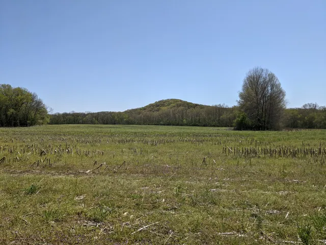 Pacific Palisades Conservation Area