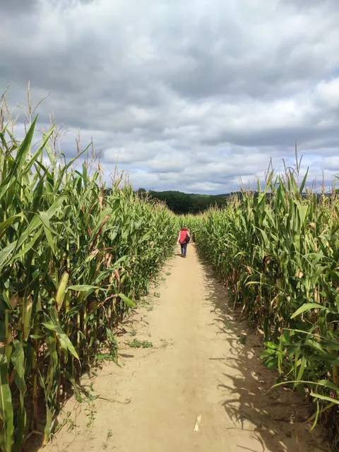 Labyrinthe de Maïs des Châteaux
