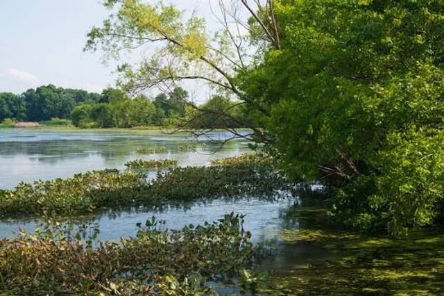 John Heinz National Wildlife Refuge at Tinicum