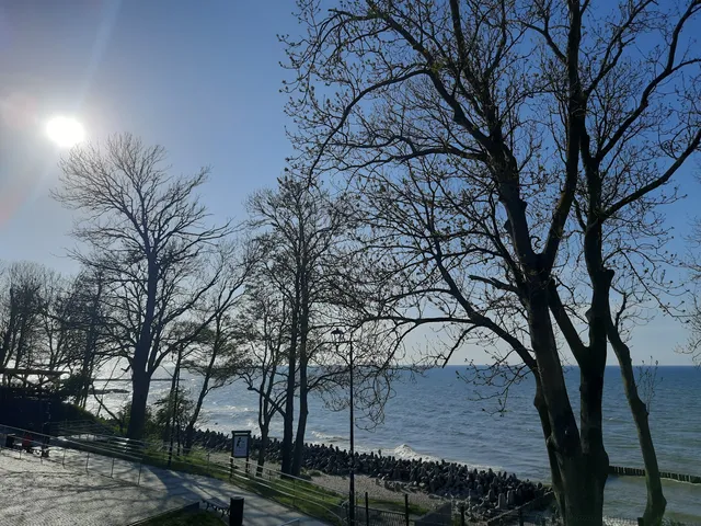 PLAC WIDOKOWY - Róża Wiatrów