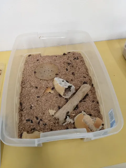 Museum Institute Biologico