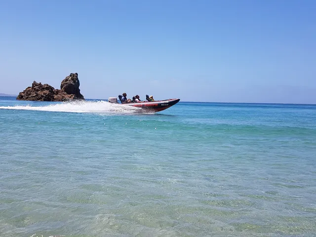 Phillip Island Thundercat Tours