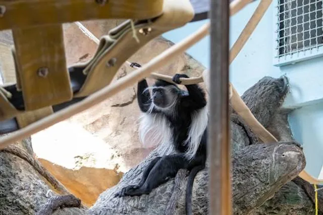 Omaha's Henry Doorly Zoo and Aquarium