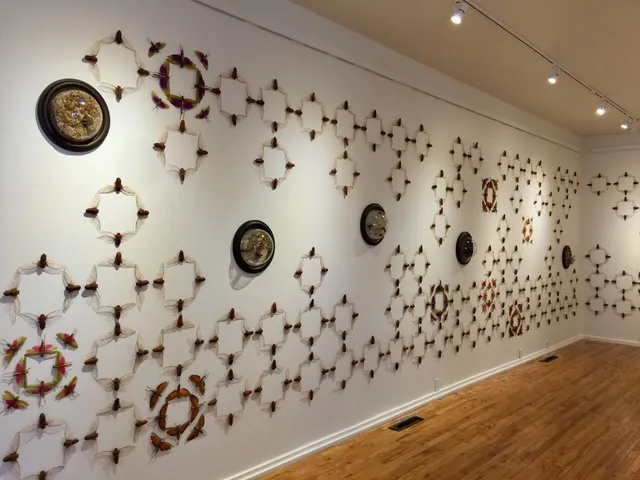 ARTSPLACE Gallery (Annapolis Region Community Arts Council)