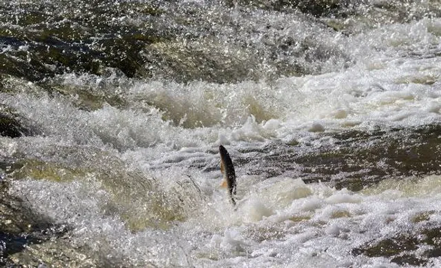 River Park Batiscan - Murphy Sector