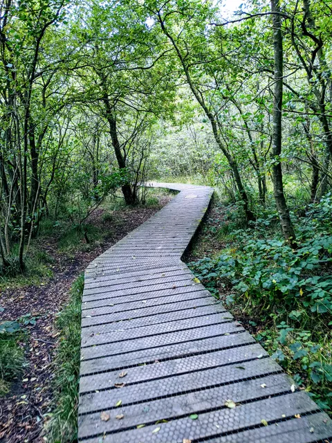 Havannah and Three Hills Nature Reserve