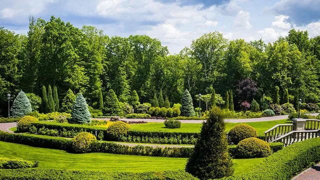 The Springfield Park District