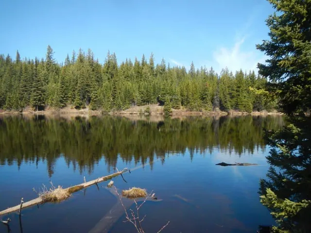 Area D (Tabor Lake/Stone Creek)