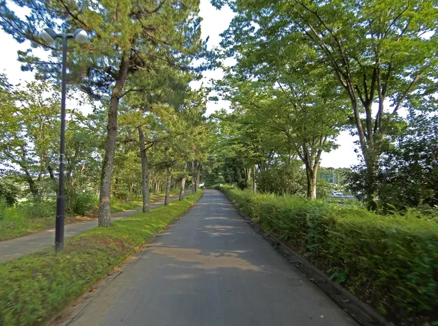 Shinrinkoen Park walking road
