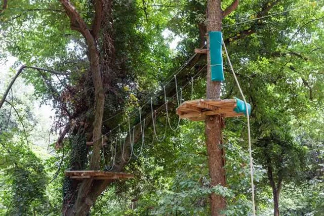 Tree To Tree Cape May