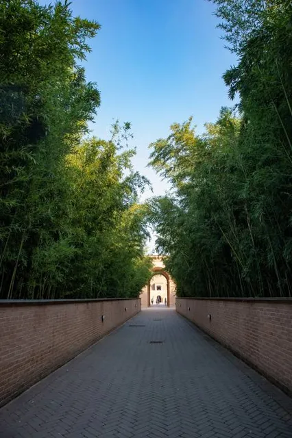 Labirinto della Masone