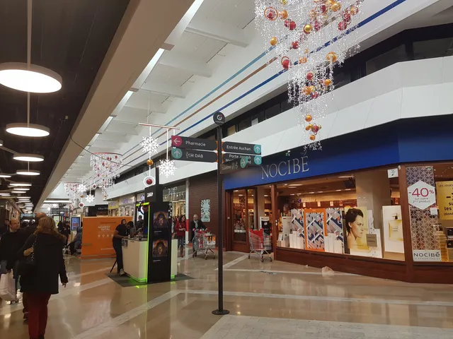 Aushopping Porte des Alpes