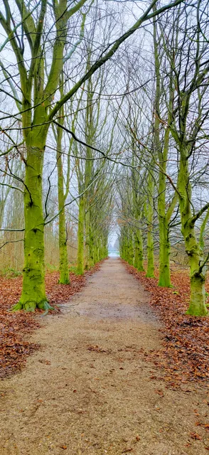 Bos der Onverzettelijken