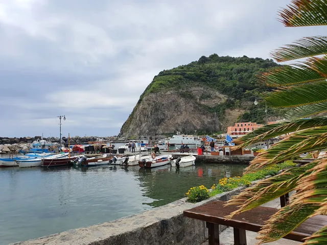 Associazione Nemo per la Diffusione della Cultura del Mare - Ischia