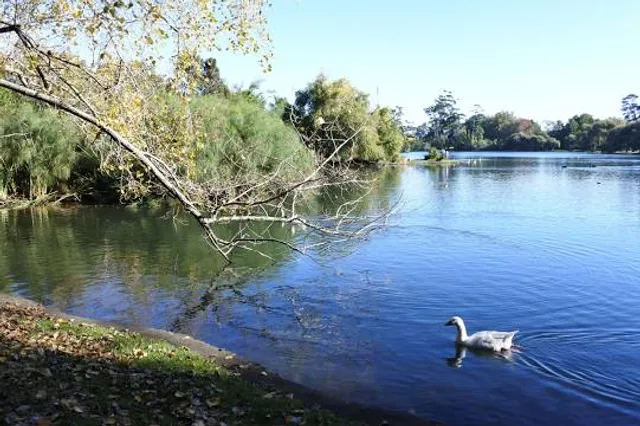 Western Springs Park