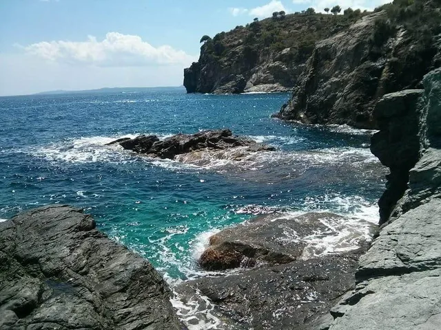 Global Immo Roses S.L.