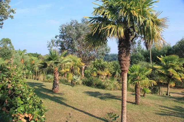 Camping des Palmiers