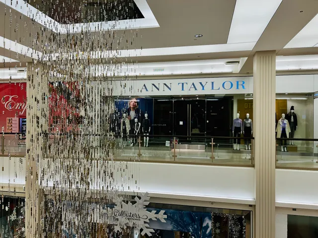 Ann Taylor