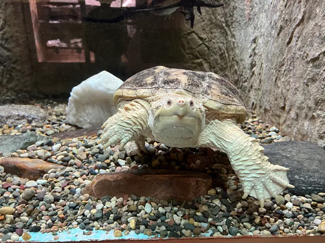Gavins Point National Fish Hatchery - Hatchery Building And Aquarium