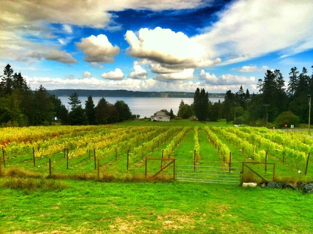 Marrowstone Vineyards