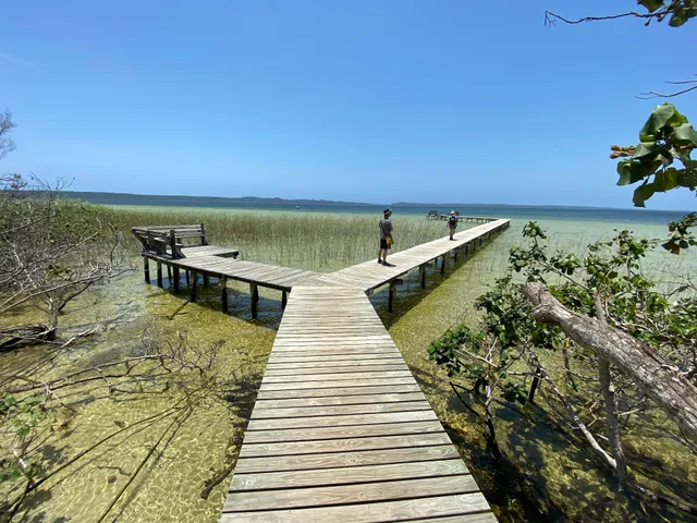 Kosi Bay (Ezemvelo KZN Wildlife)