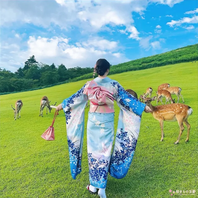 Kimono Rental - Sakura Kimono Kyoto 桜きもの京都