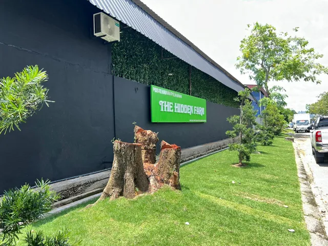 The Hidden Farm Mount Austin