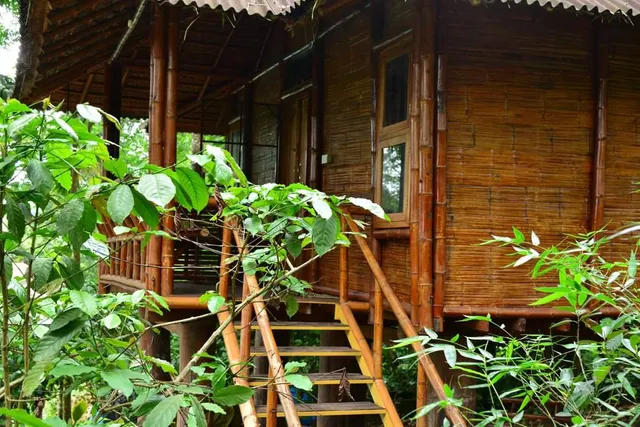 Wayanad Trekking Trails resort