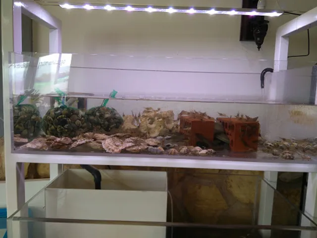 Restaurante La Pedania