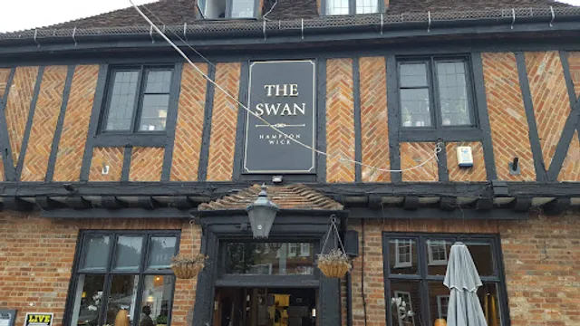 The Swan