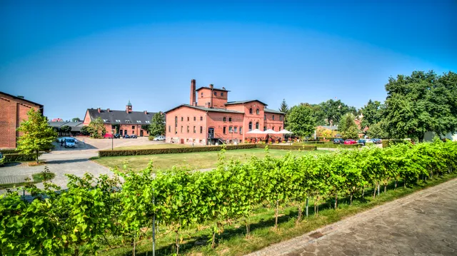 Pałac Mierzęcin Wellness & Wine Resort