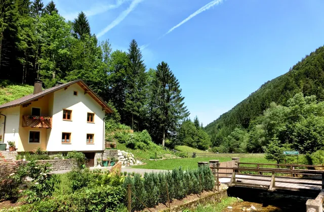 Gästehaus Forstner - Ferienwohnung/Apartment
