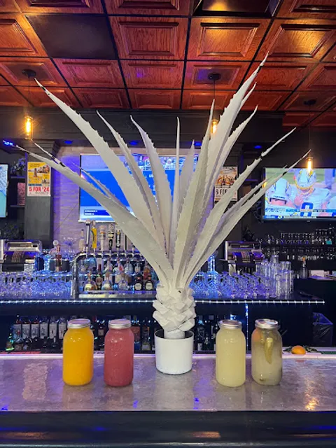 TKS - Tatas Kitchen & Social