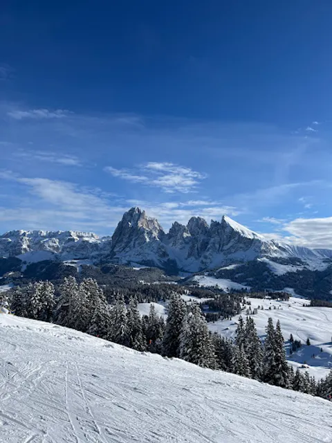 Belvedere sul Sassolungo e Sassopiatto