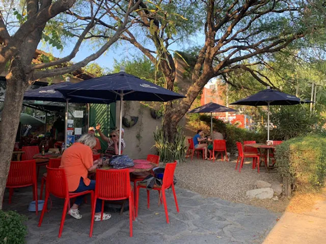 Ten ten pie al carbon