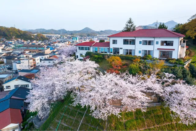 尾道やすらぎの宿しーそー