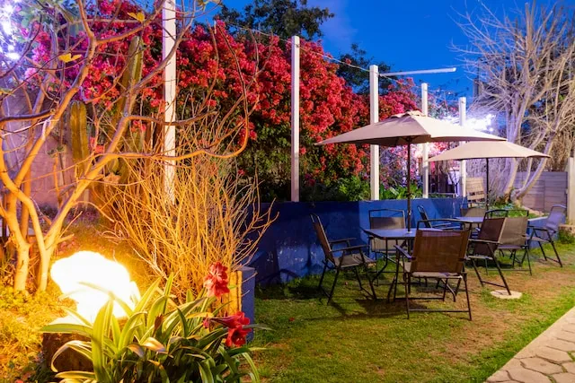 Departamentos $4,800 MN x Mes