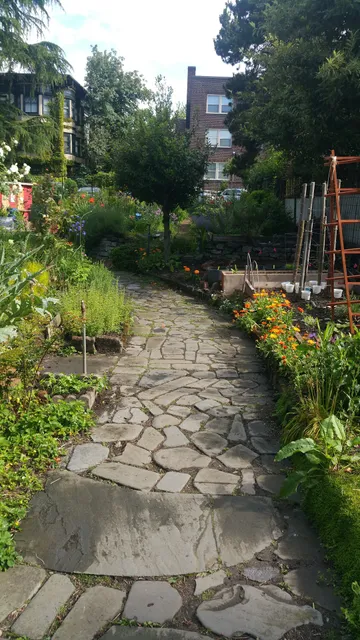 Thomas Street Gardens P-Patch