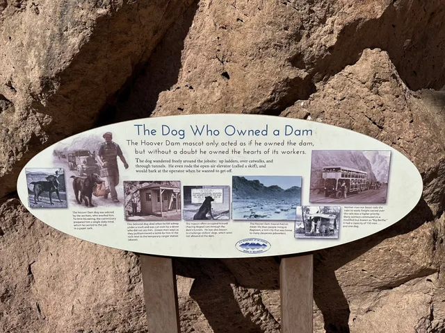 The Dog Who Owned a Dam