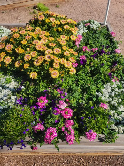 Earth Heart Park and Community Garden