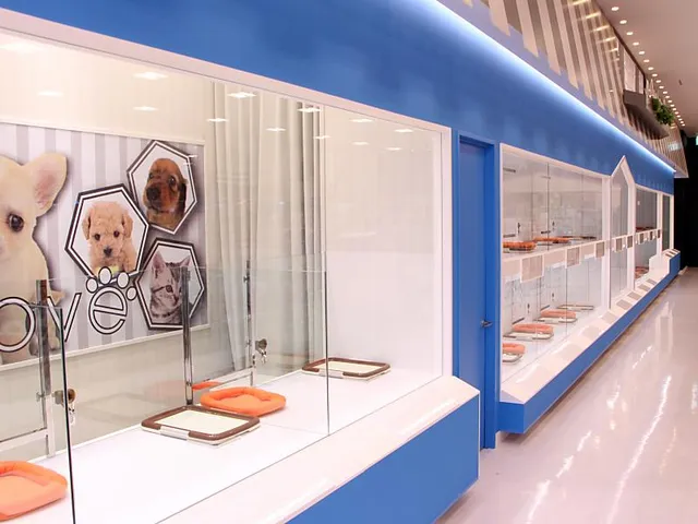 Pettoshoppu Wanrabu Akurosupurazadaitoten