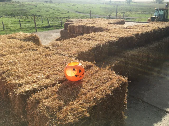 Sam's Pumpkin Patch