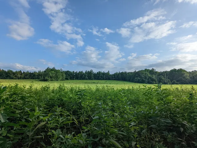 Harpeth River State Park - Gossett Tract